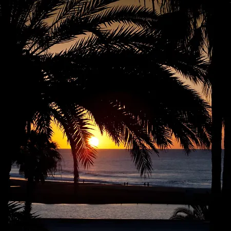 Seaside Palm Hotel 5*