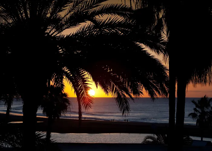 Seaside Palm Отель 5*