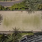Seaside Palm